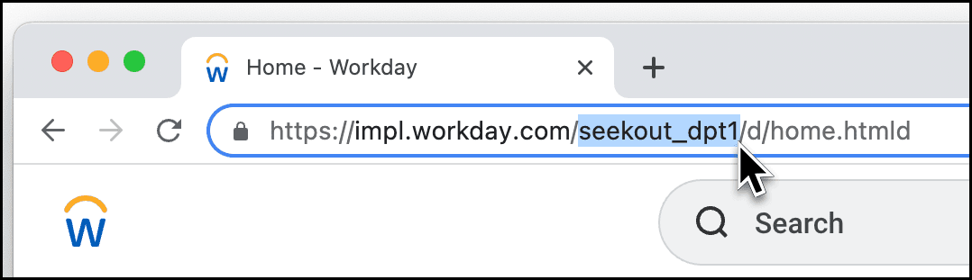 Screenshot of where to find WorkDay tenant name