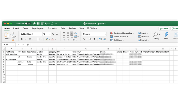 Screenshot of Excel file to bulk upload candidates