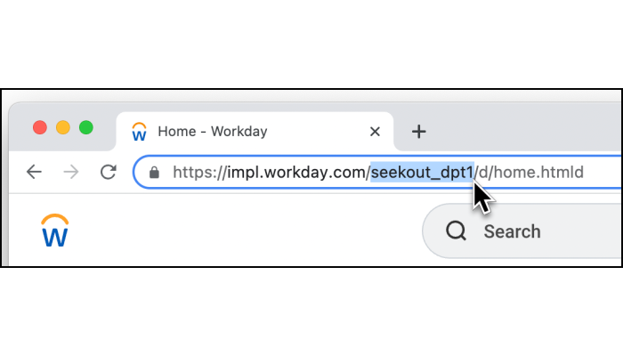 Screenshot of where to find WorkDay tenant name