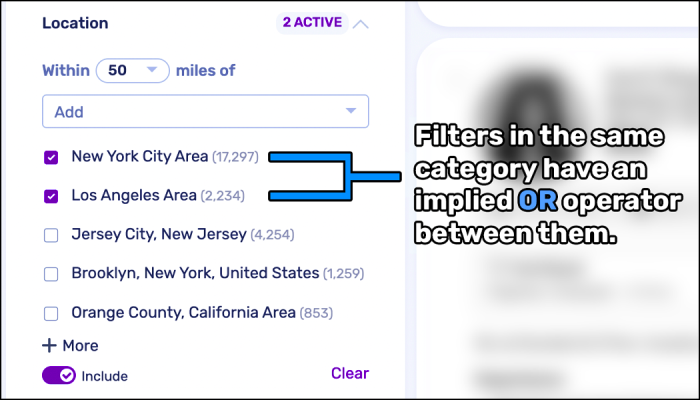 Screenshot of filters in the same category implying OR statements