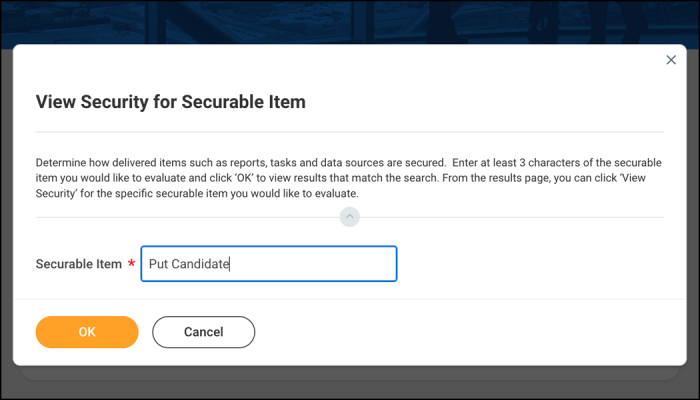 Type Put Candidate into the Securable Item field and click OK.