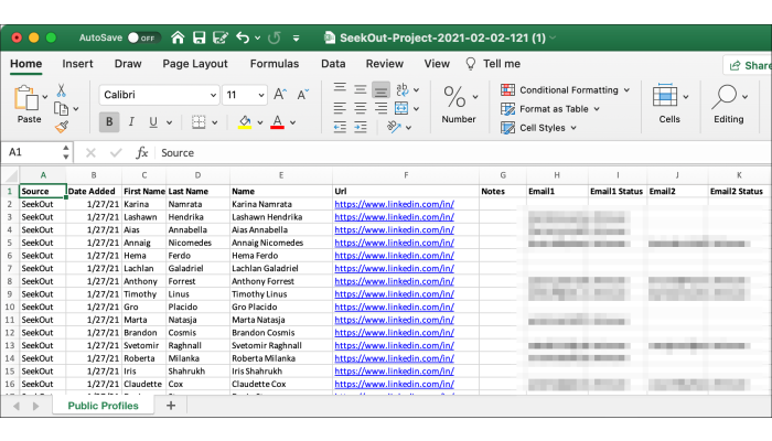 Screenshot of Excel file export results