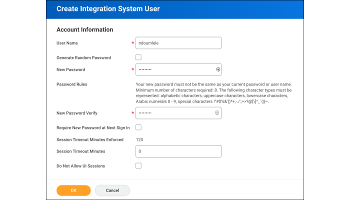 Screenshot of ISU account in Workday for integration