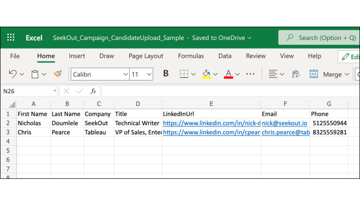 Screenshot of example Excel file to upload and import to messaging campaign