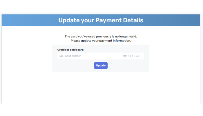 Screenshot of updating payment details